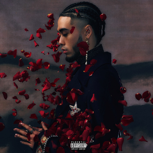 美妇岳的肉泬第13部分视频
