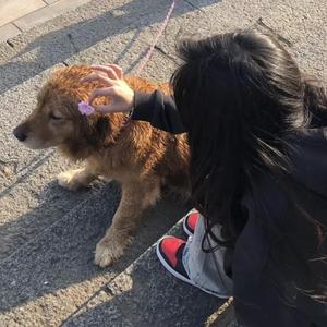 美妇岳的肉泬第13部分视频
