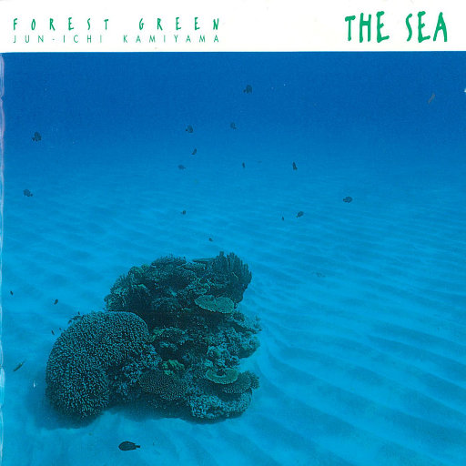 美妇岳的肉泬第13部分视频
